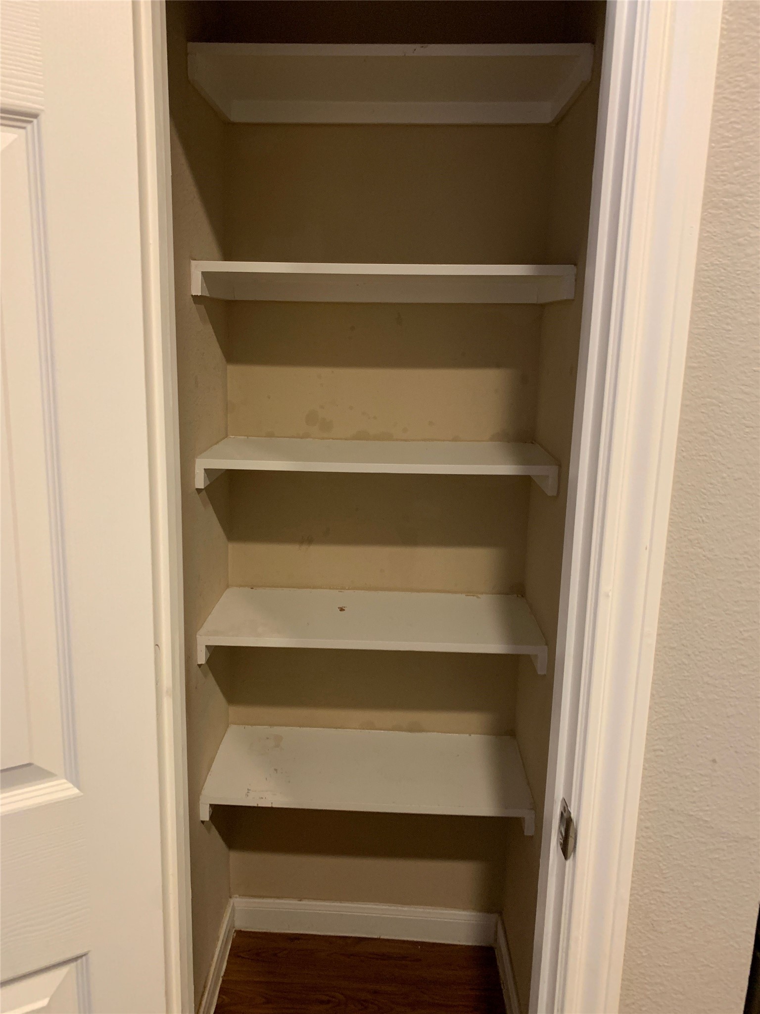 17038 Wilthorne Gardens Court Houston, TX 77084 - Photo 7 of 25 Pantry space in kitchen