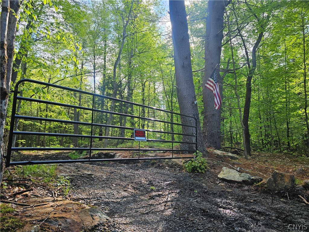 0 Pine Lane Glenfield, NY 13343 - Photo 18 of 49