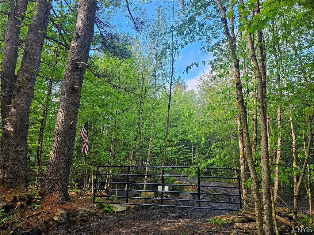 0 Pine Lane Glenfield, NY 13343 - Photo 19 of 49