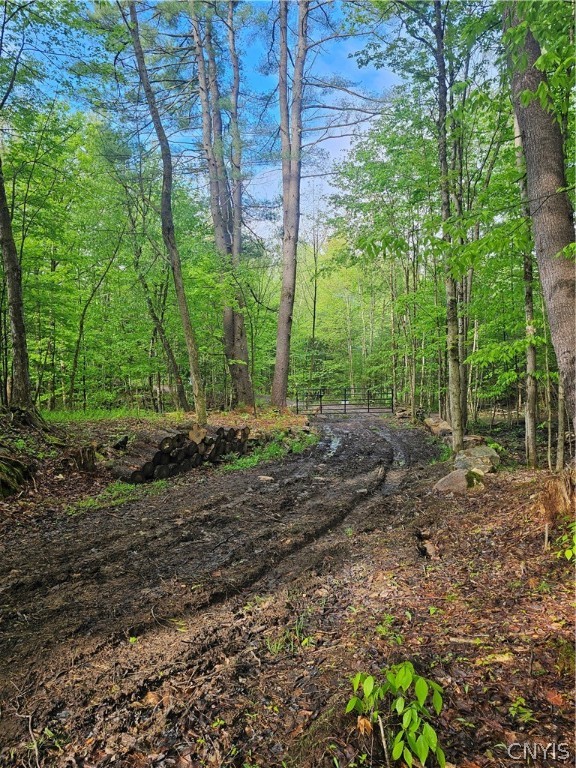 0 Pine Lane Glenfield, NY 13343 - Photo 21 of 49