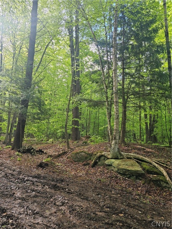 0 Pine Lane Glenfield, NY 13343 - Photo 22 of 49