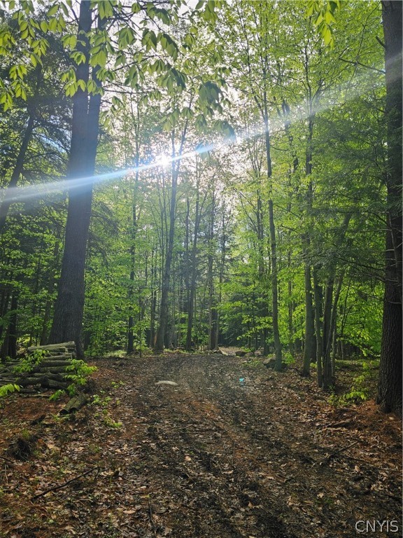 0 Pine Lane Glenfield, NY 13343 - Photo 23 of 49