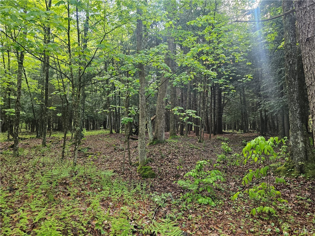 0 Pine Lane Glenfield, NY 13343 - Photo 24 of 49