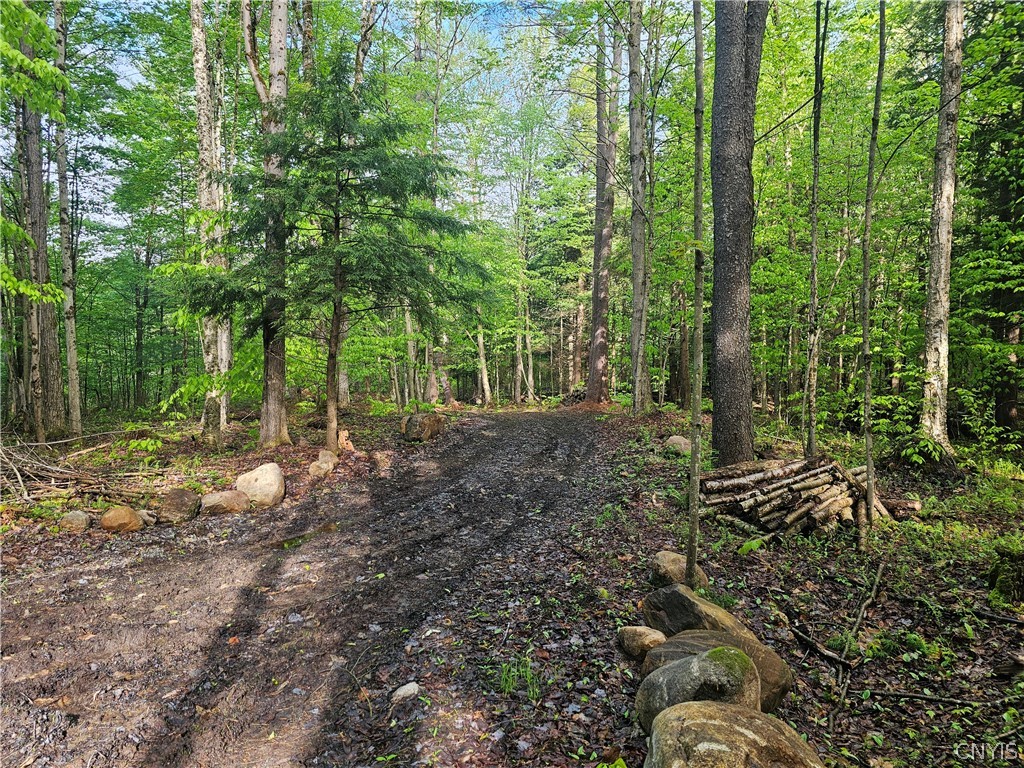 0 Pine Lane Glenfield, NY 13343 - Photo 25 of 49