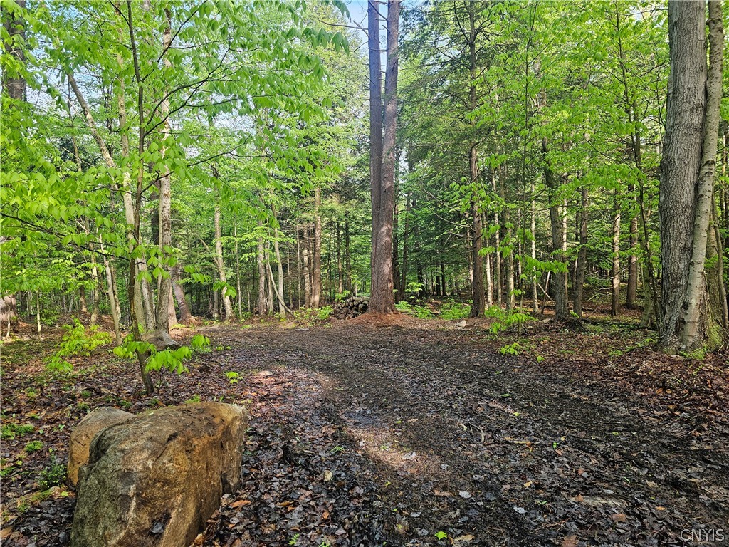 0 Pine Lane Glenfield, NY 13343 - Photo 26 of 49