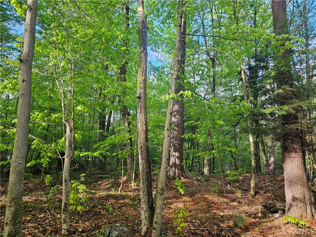 0 Pine Lane Glenfield, NY 13343 - Photo 27 of 49