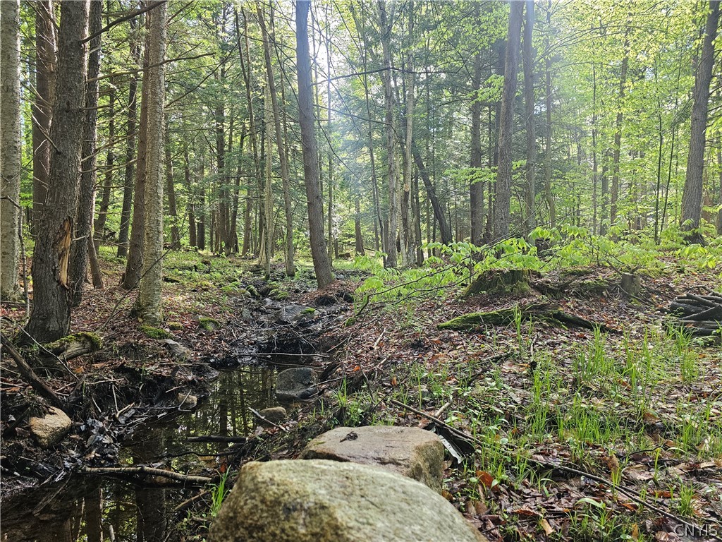 0 Pine Lane Glenfield, NY 13343 - Photo 29 of 49