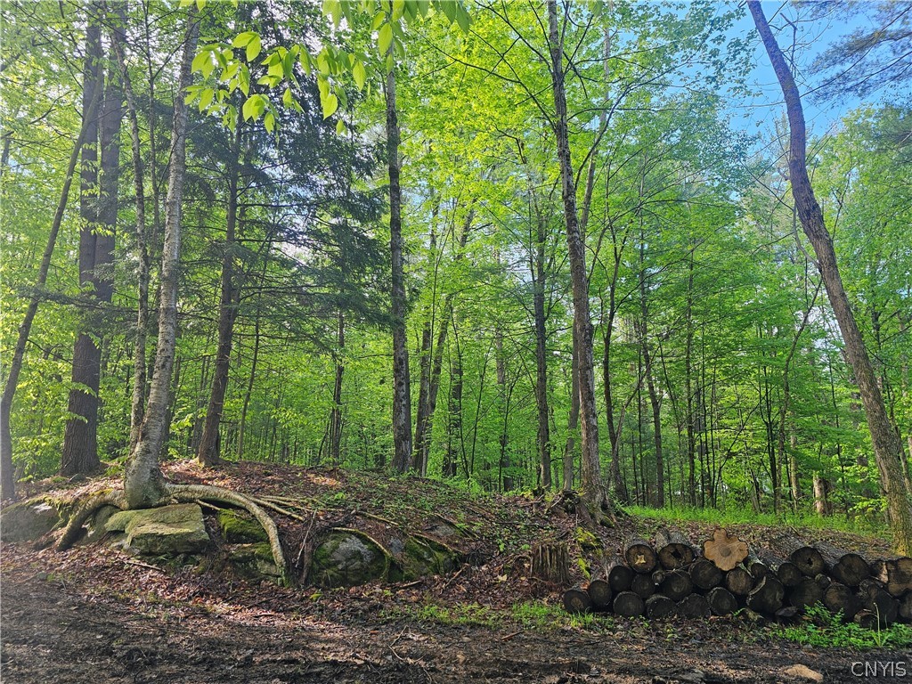 0 Pine Lane Glenfield, NY 13343 - Photo 31 of 49