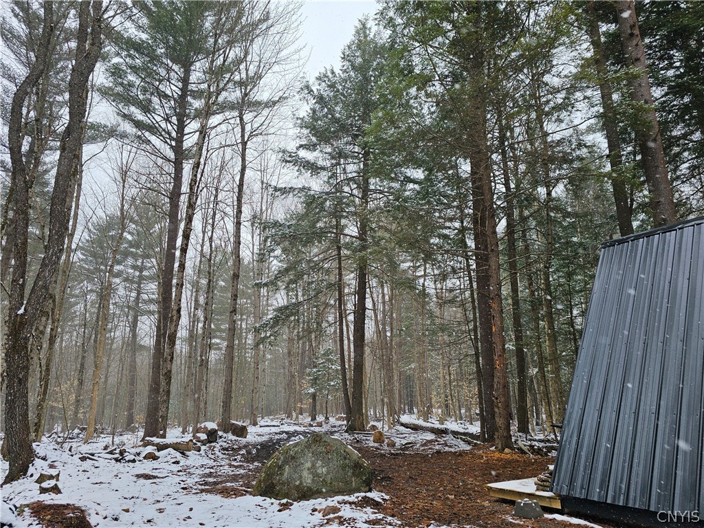 0 Pine Lane Glenfield, NY 13343 - Photo 35 of 49