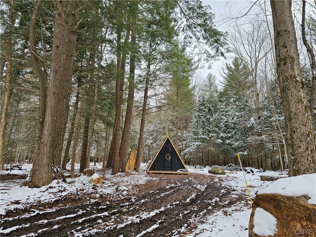 0 Pine Lane Glenfield, NY 13343 - Photo 38 of 49