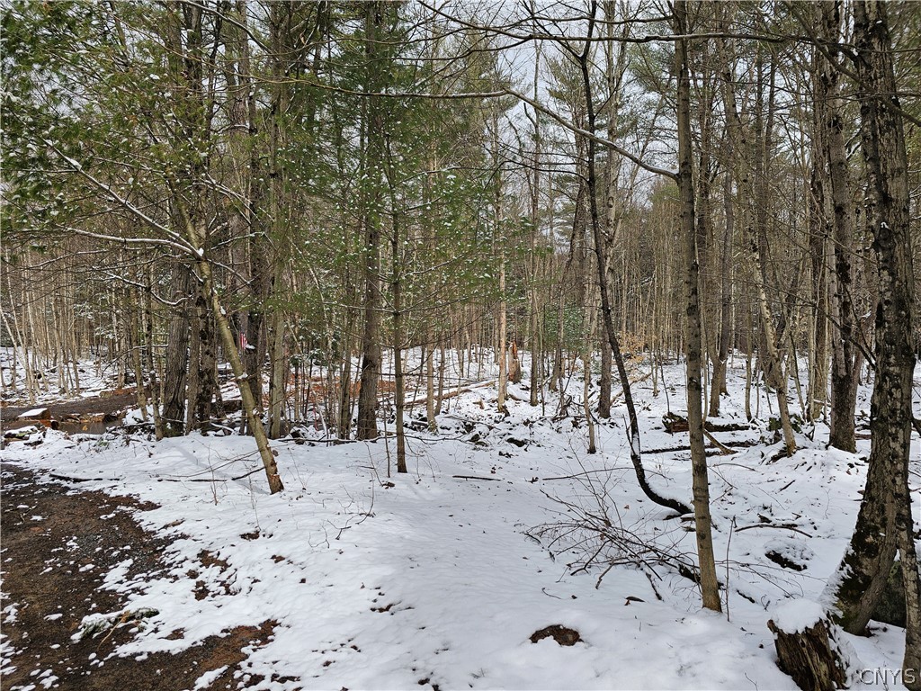 0 Pine Lane Glenfield, NY 13343 - Photo 39 of 49