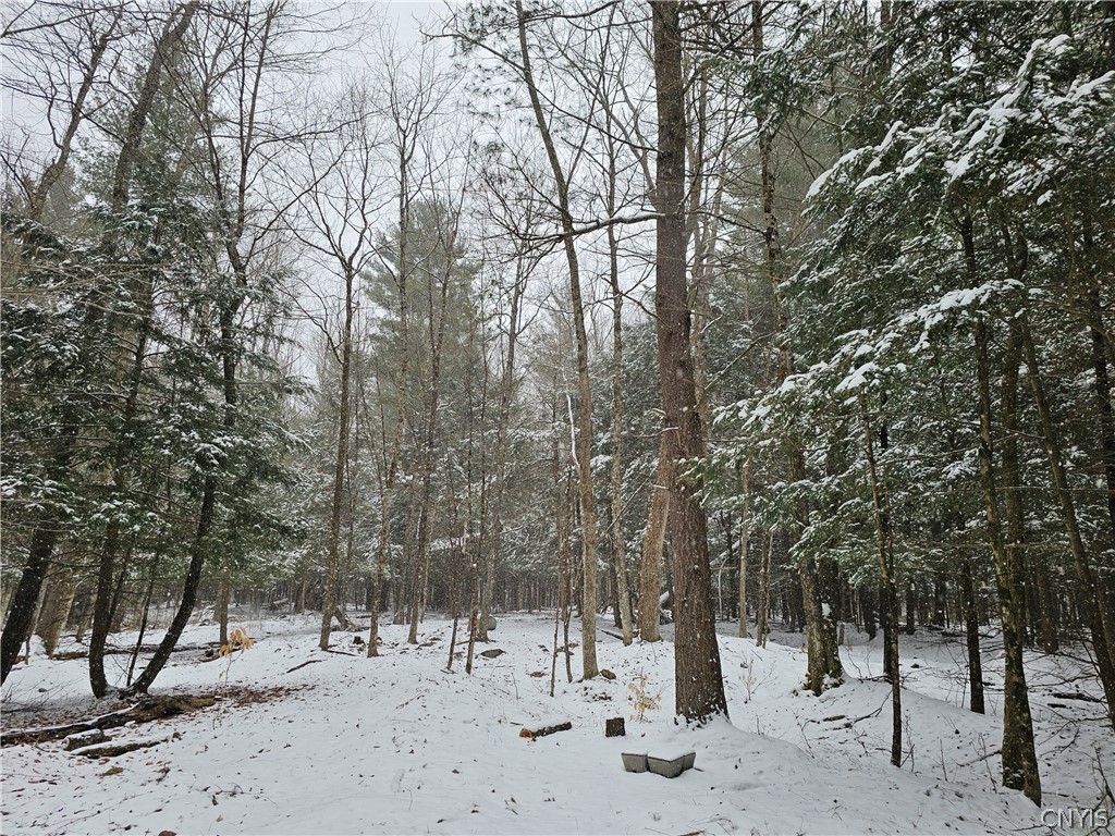 0 Pine Lane Glenfield, NY 13343 - Photo 40 of 49