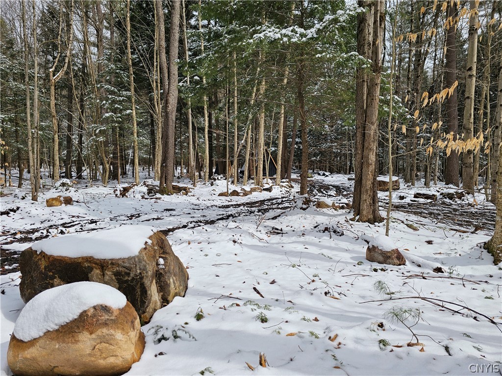 0 Pine Lane Glenfield, NY 13343 - Photo 41 of 49