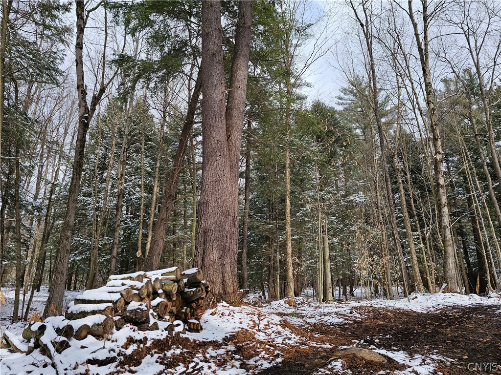 0 Pine Lane Glenfield, NY 13343 - Photo 44 of 49