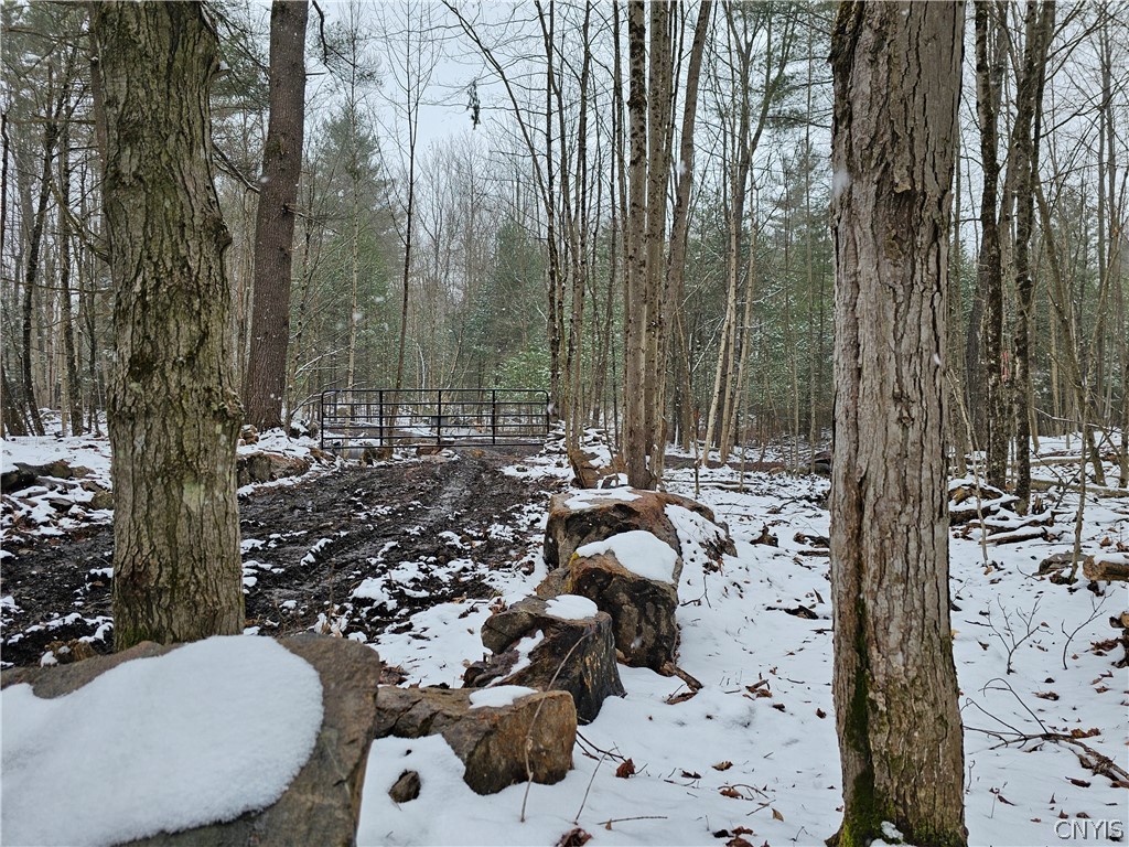 0 Pine Lane Glenfield, NY 13343 - Photo 45 of 49