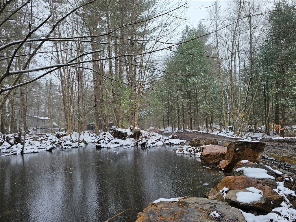 0 Pine Lane Glenfield, NY 13343 - Photo 46 of 49