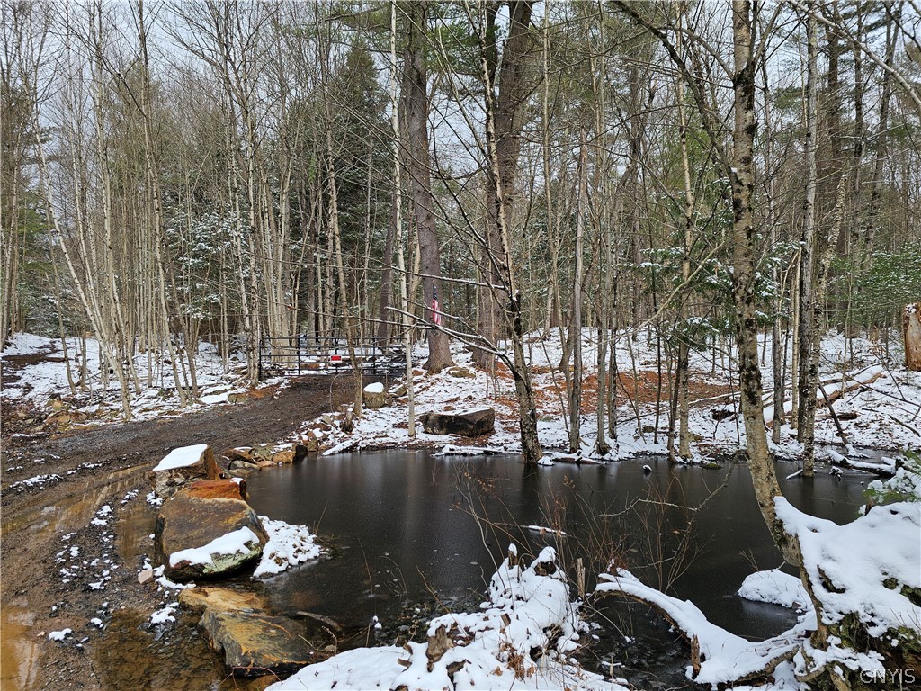 0 Pine Lane Glenfield, NY 13343 - Photo 47 of 49