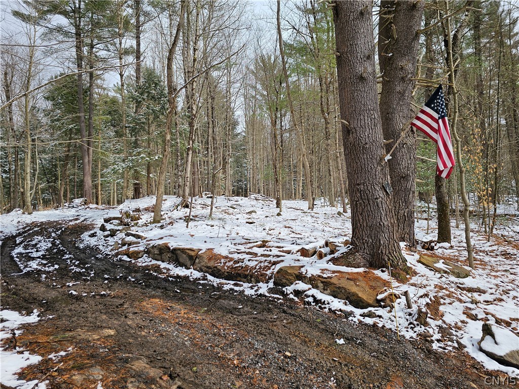 0 Pine Lane Glenfield, NY 13343 - Photo 48 of 49