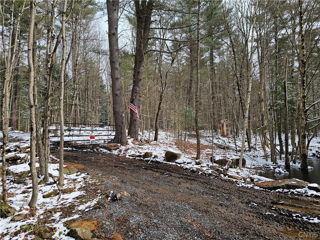 0 Pine Lane Glenfield, NY 13343 - Photo 49 of 49