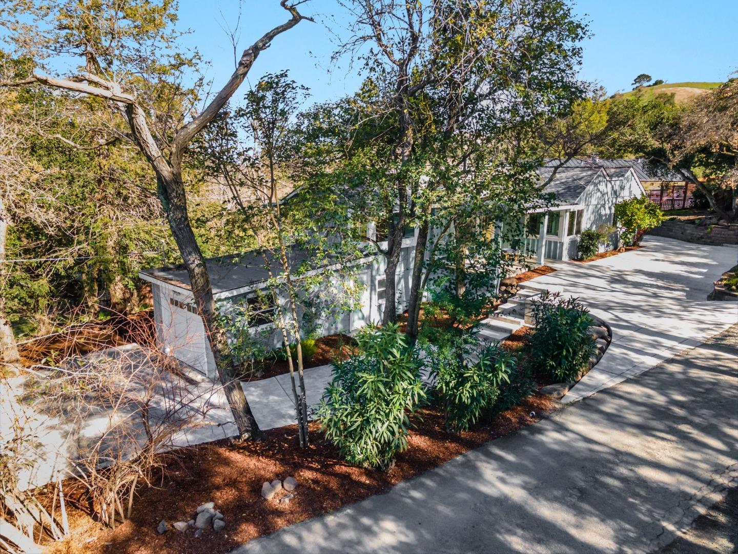 3368 Johnson Road Lafayette, CA 94549 - Photo 3 of 50 a view of a garden with plants and large trees