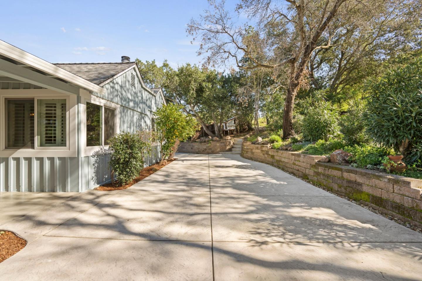 3368 Johnson Road Lafayette, CA 94549 - Photo 4 of 50 a view of a backyard with large trees