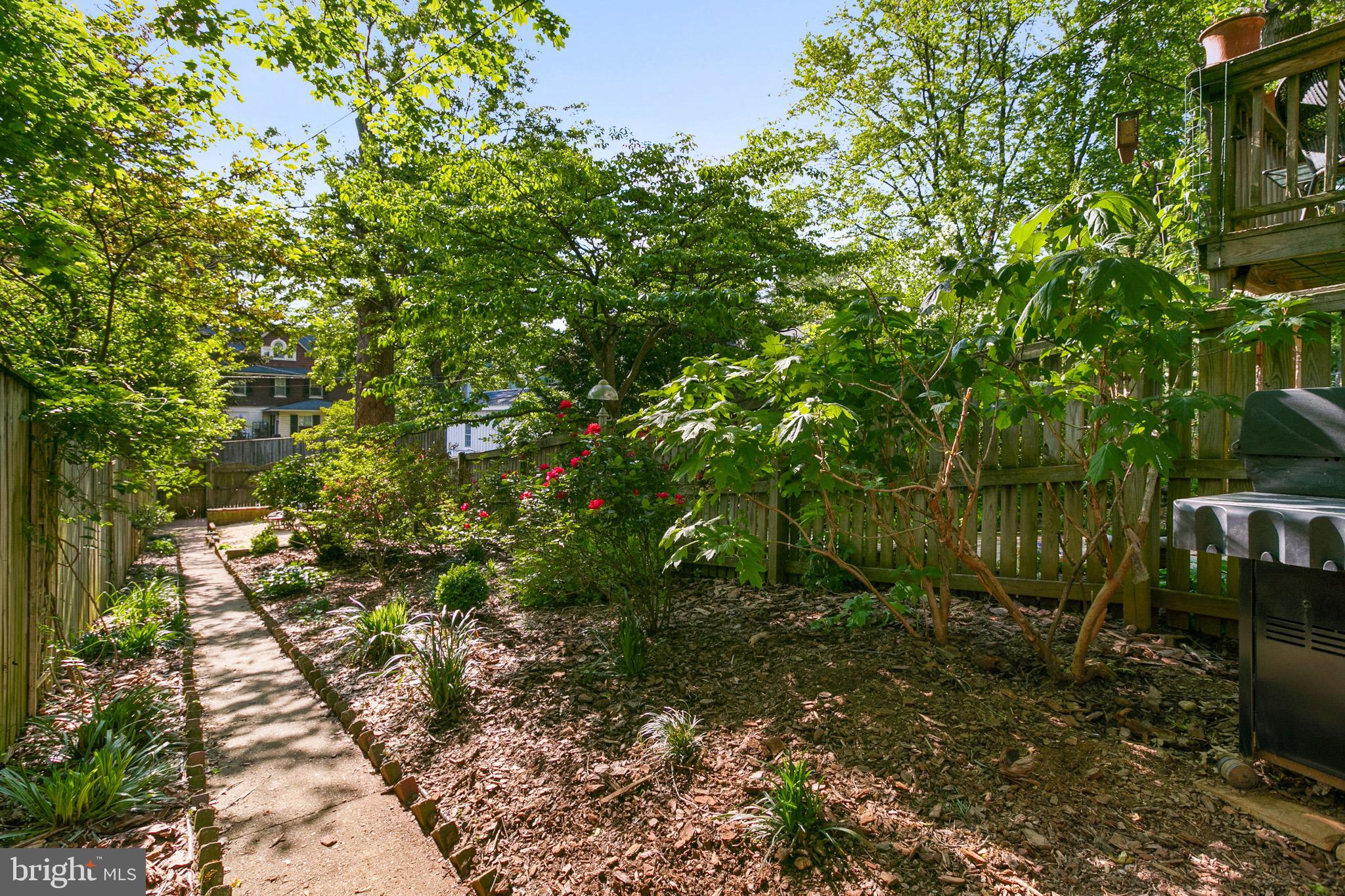 4514 Schenley Road Baltimore, MD 21210 - Photo 36 of 43 Rear Garden/Yard