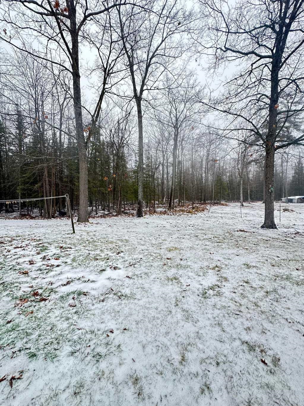 8385 Elevere Road Lachine, MI 49753 - Photo 28 of 32