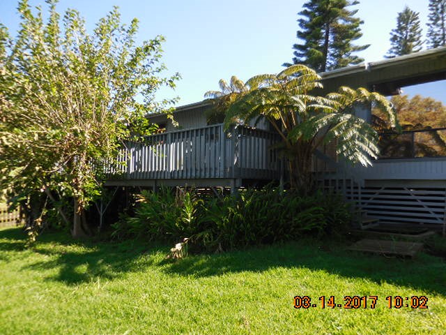 441 Copp Road Kula, HI 96790 - Photo 16 of 21 a view of backyard with potted plants and a bench