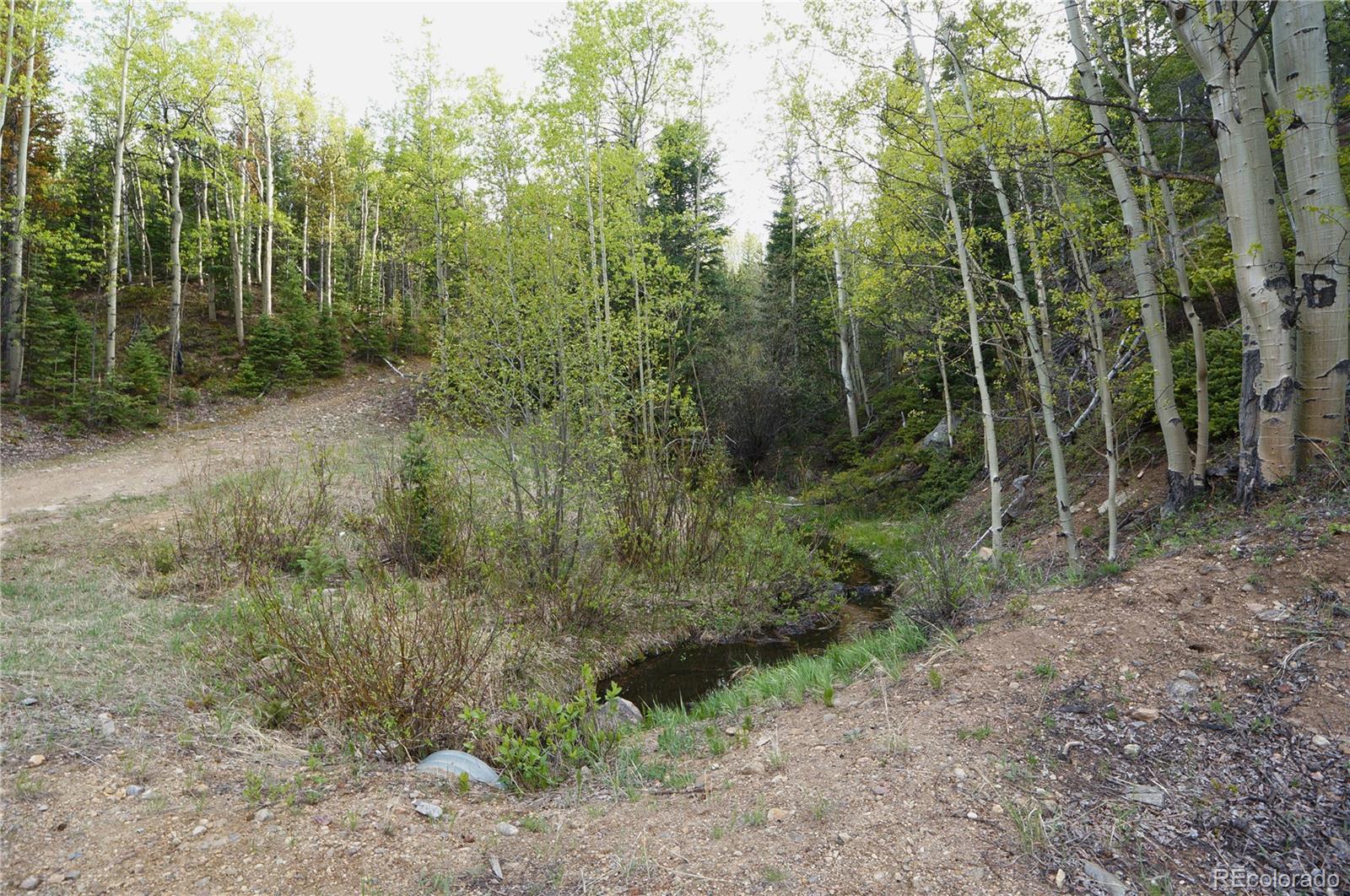 0 Trail Creek Road Idaho Springs, CO 80452 - Photo 2 of 16