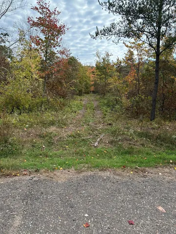 $46,900 | Tbd Tbd 810th Street, Ridgeland, WI 54763