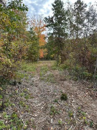 $46,900 | Tbd Tbd 810th Street, Ridgeland, WI 54763