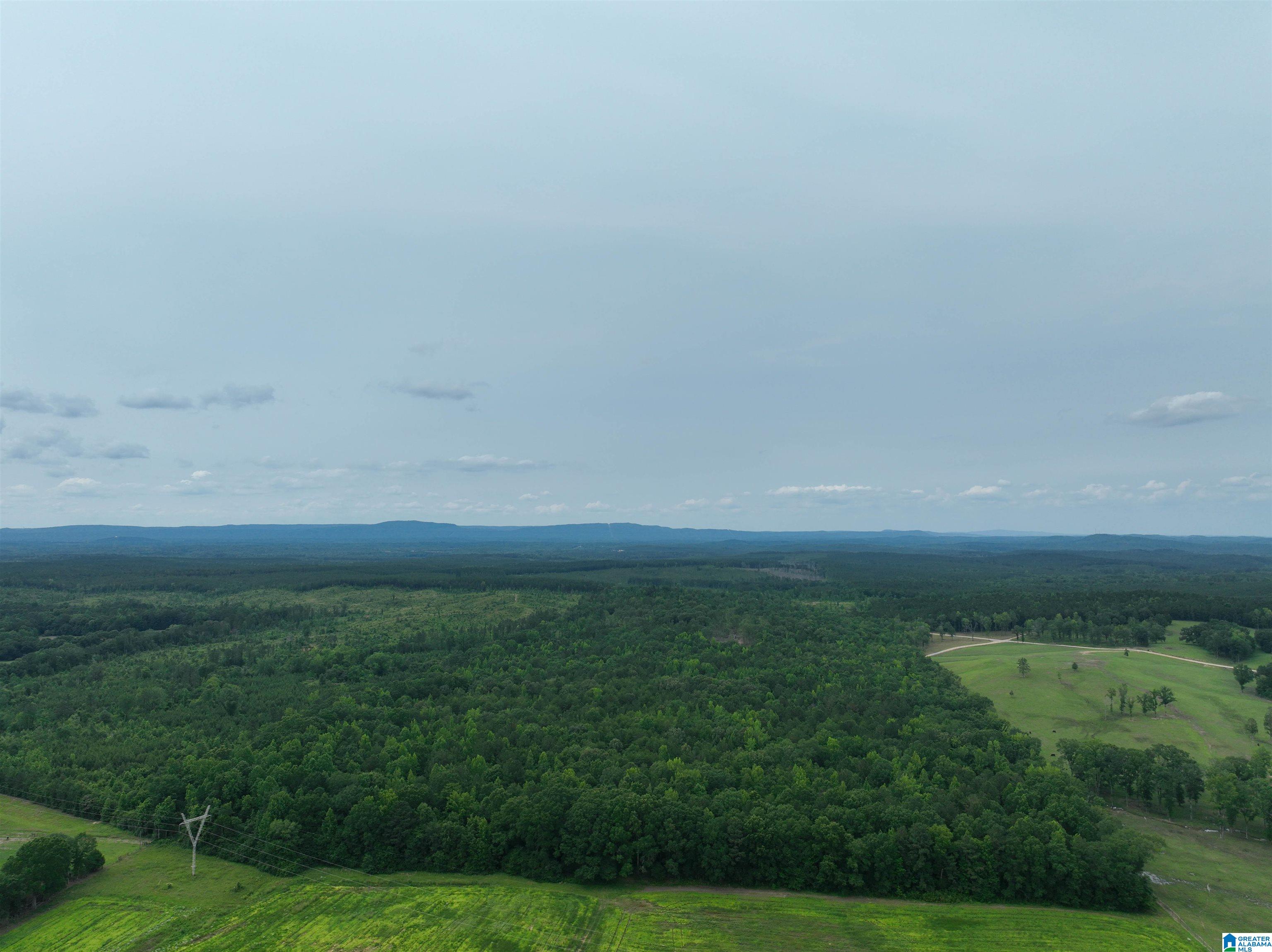 Jackson Farm Road Wilsonville, AL 35186 - Photo 3 of 13 Gallery Image 3