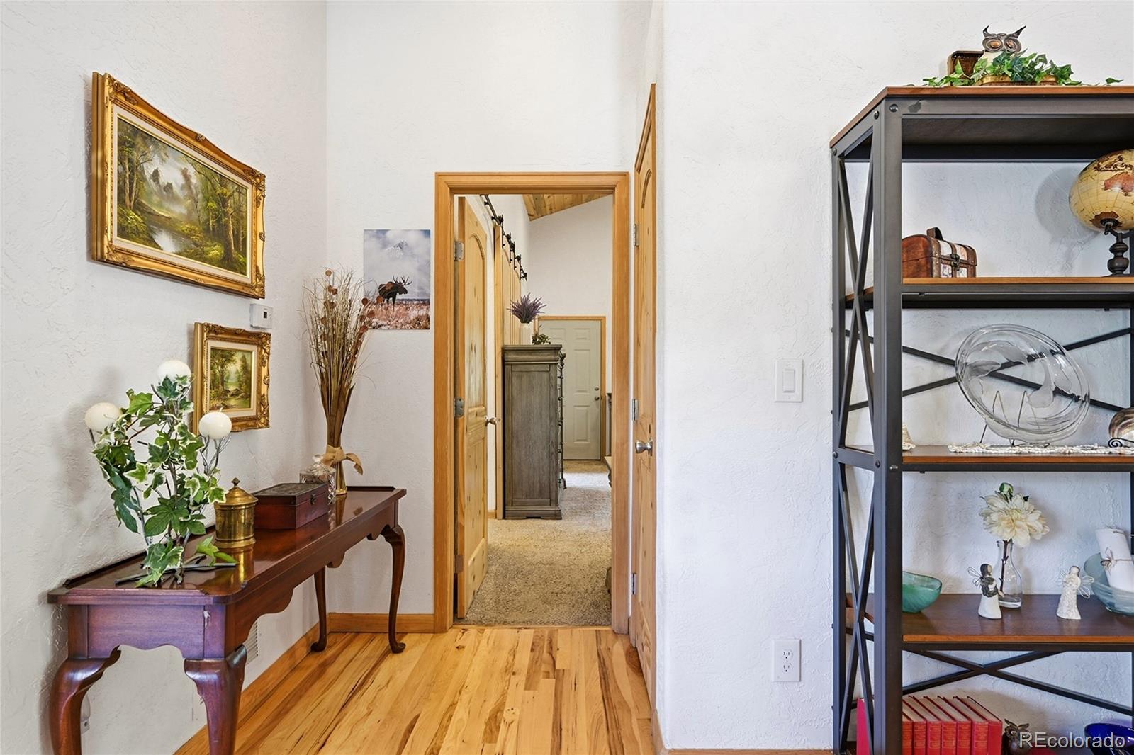 705 Gold Flake Terrace Bailey, CO 80421 - Photo 16 of 48