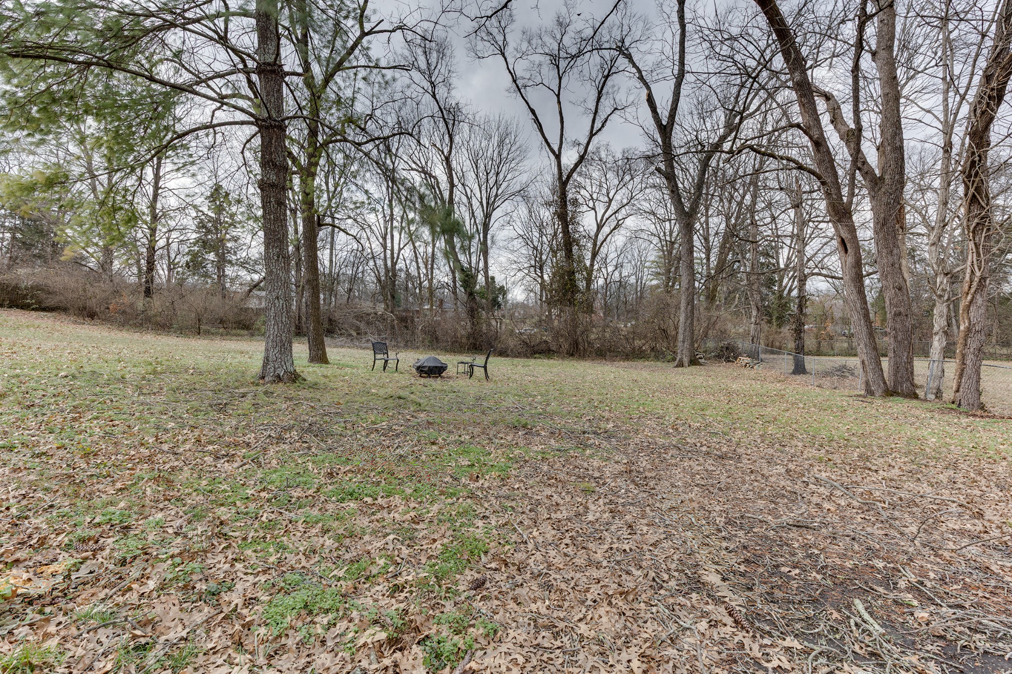 206 West Marthona Road Madison, TN 37115 - Photo 16 of 16 a view of a yard with a tree
