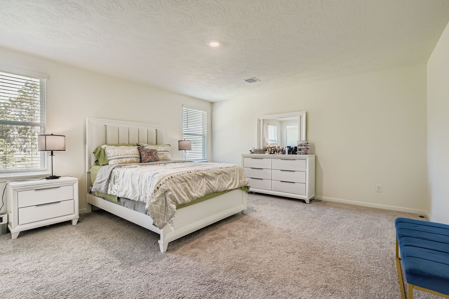 25606 White Alpine Drive Spring, TX 77373 - Photo 16 of 29 Primary Bedroom