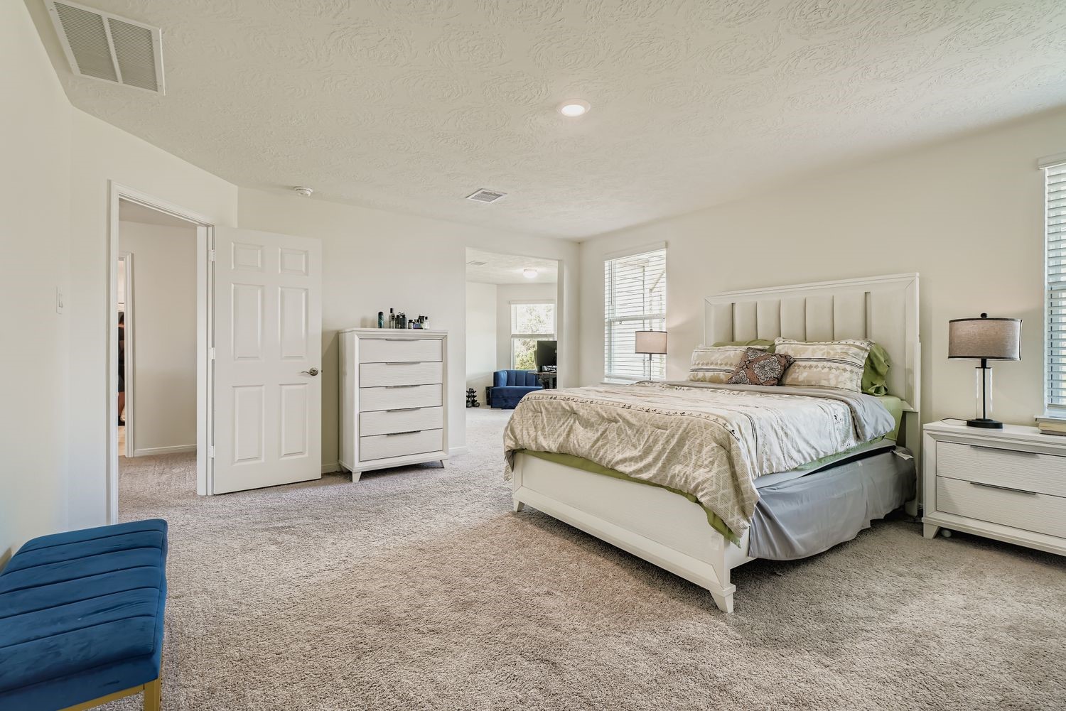 25606 White Alpine Drive Spring, TX 77373 - Photo 17 of 29 Primary Bedroom