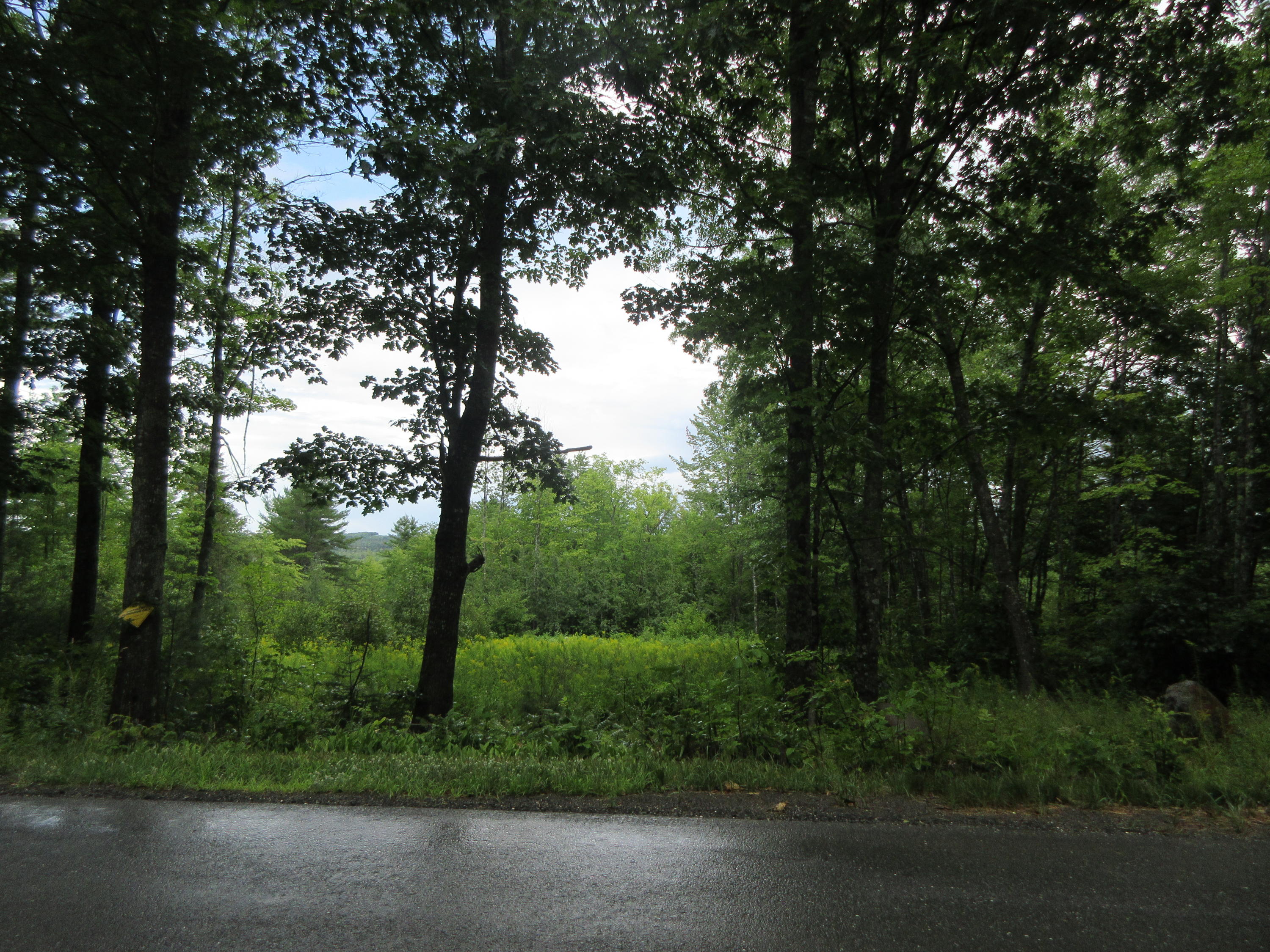 110 N Road Harmony, ME 04942 - Photo 24 of 28 IMG_3149