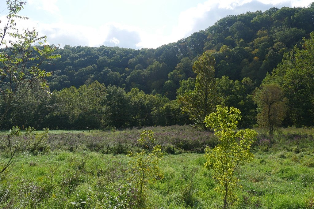 Tbd South Fork River Road, Unit 1 Glade Spring, VA 24340 - Photo 11 of 57 Gallery Image 11
