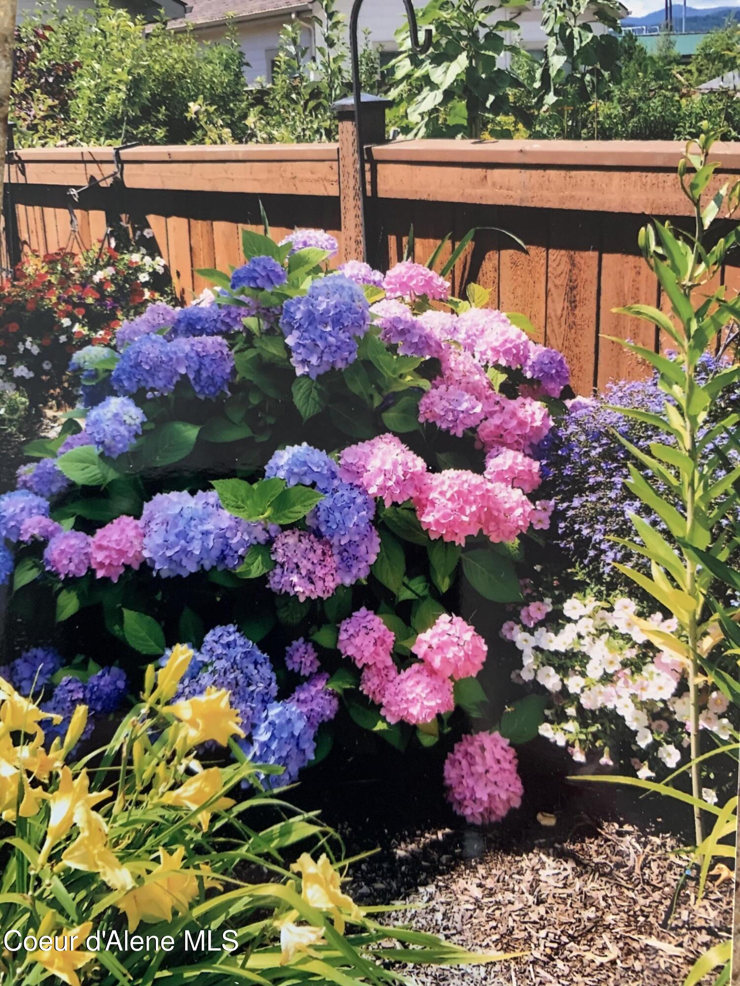 962 Waterloo Lane Coeur D'Alene, ID 83815 - Photo 7 of 46 962 Waterloo Back Yard