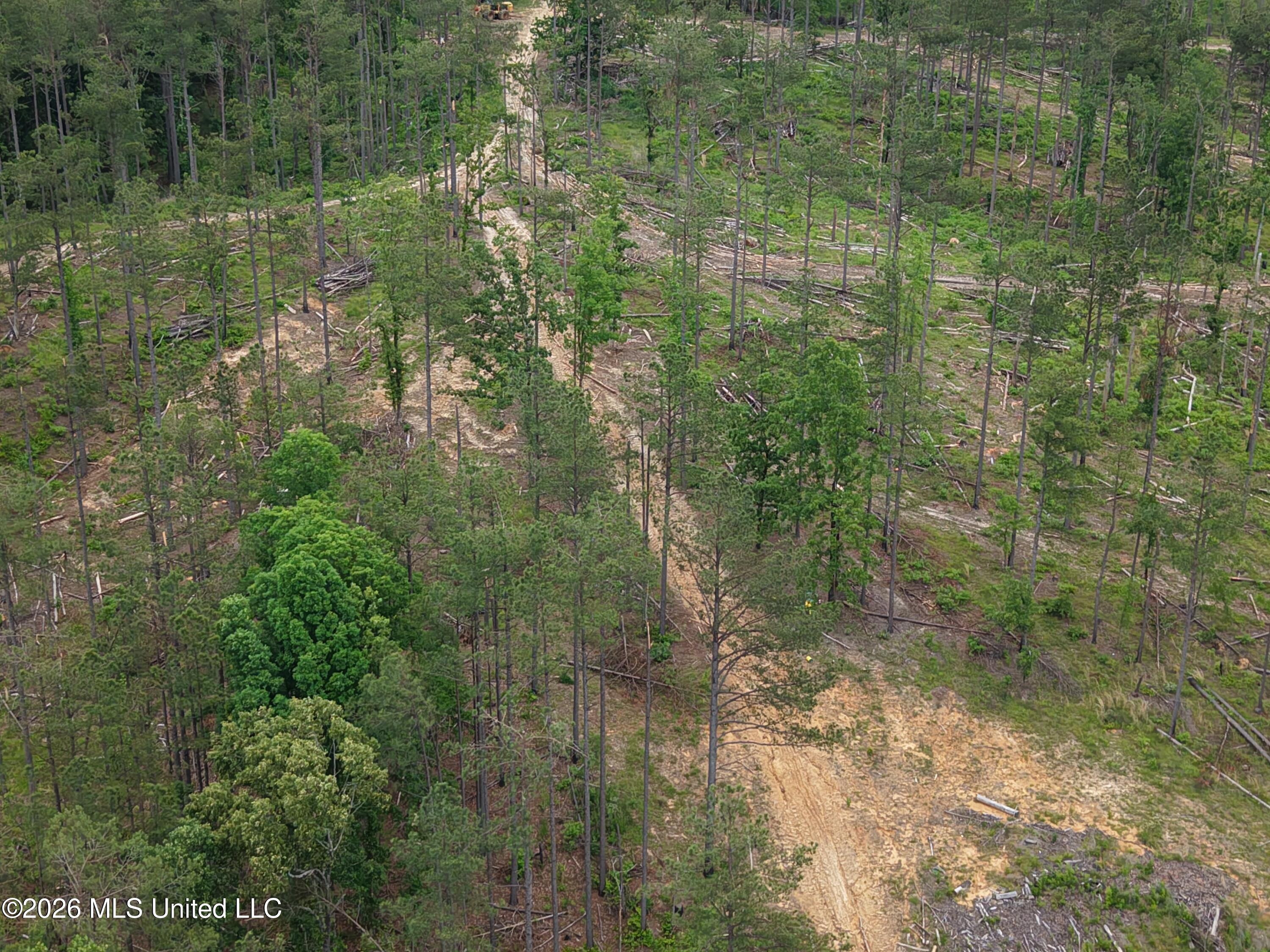 Graysport Crossing Road Gore Springs, MS 38929 - Photo 8 of 16 dji_fly_20260505_112418_0191_17797570168