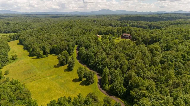 $3,995,000 | 98 Saddle Back Trail, Blue Ridge, GA 30513