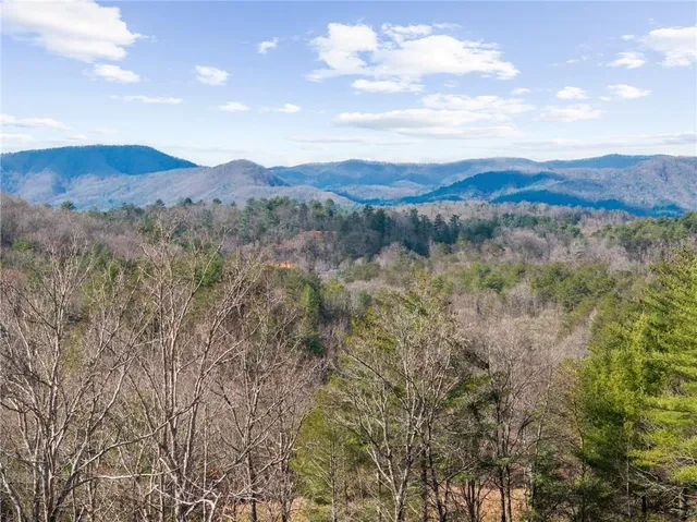 $3,995,000 | 98 Saddle Back Trail, Blue Ridge, GA 30513