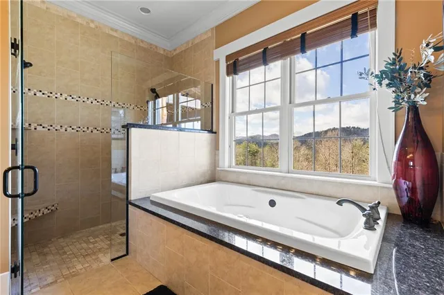 $3,995,000 | 98 Saddle Back Trail, Blue Ridge, GA 30513