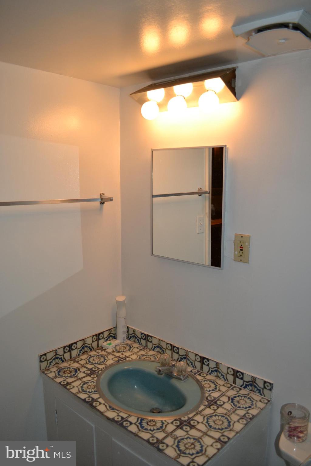 810 D Street Southeast, Unit B Washington, DC 20003 - Photo 17 of 26 a bathroom with a sink and a mirror
