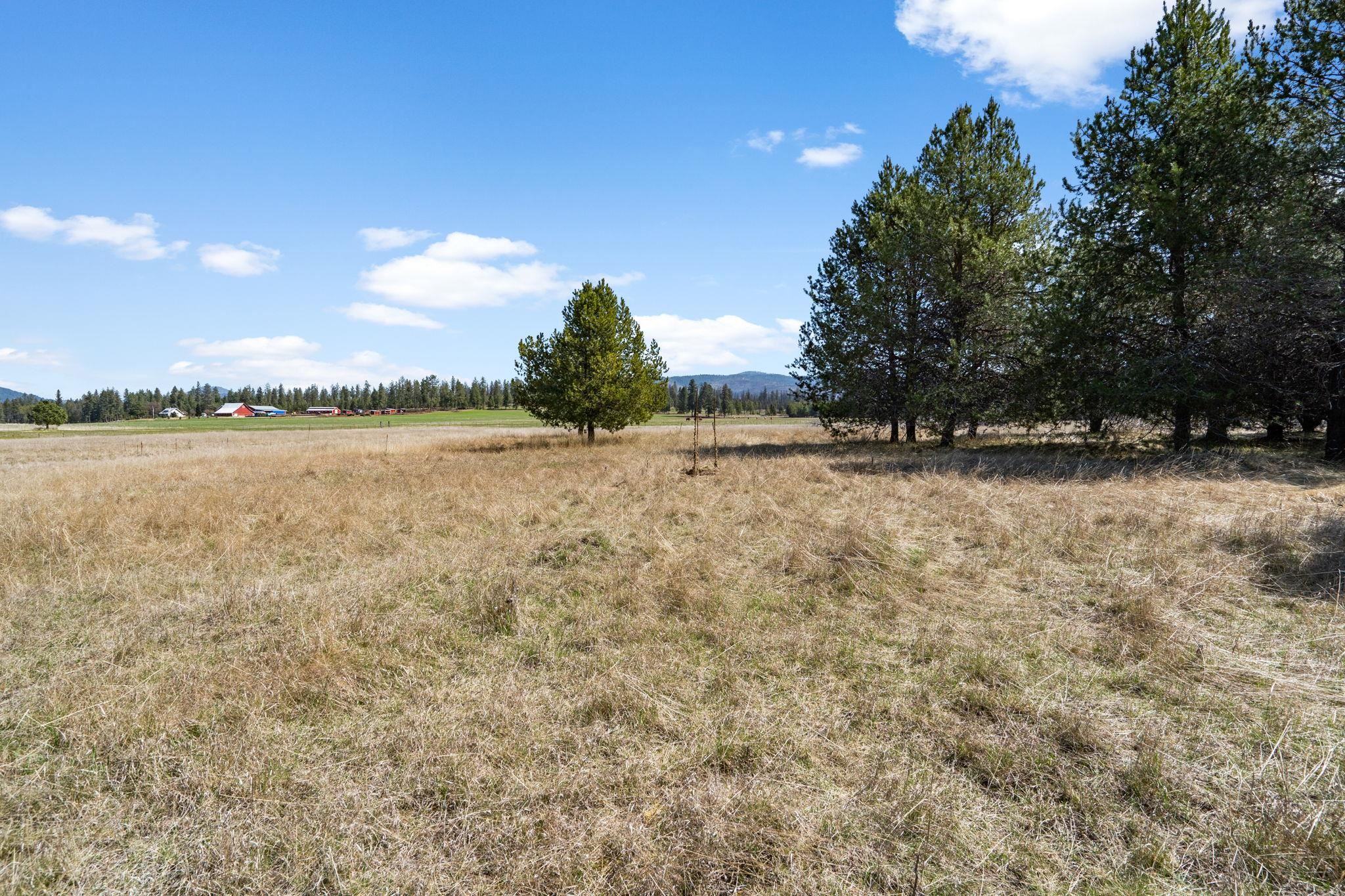 40-xxx North Madison Road Elk, WA 99009 - Photo 11 of 15