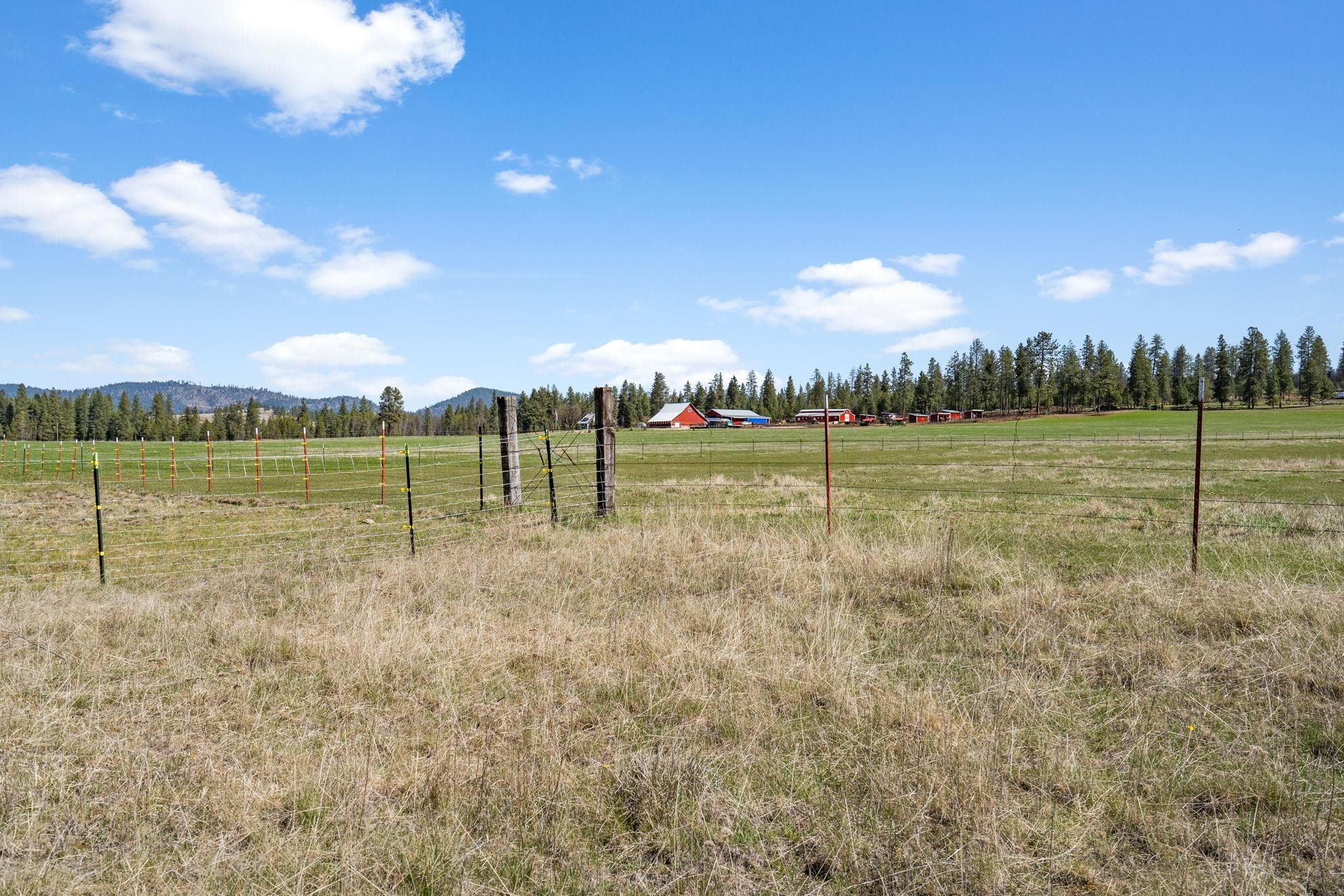 40-xxx North Madison Road Elk, WA 99009 - Photo 12 of 15