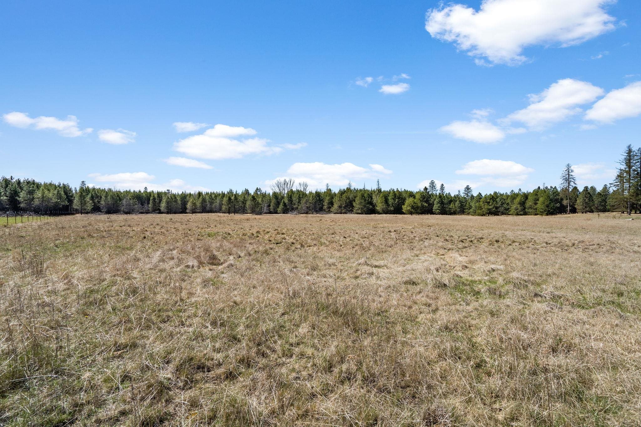 40-xxx North Madison Road Elk, WA 99009 - Photo 13 of 15