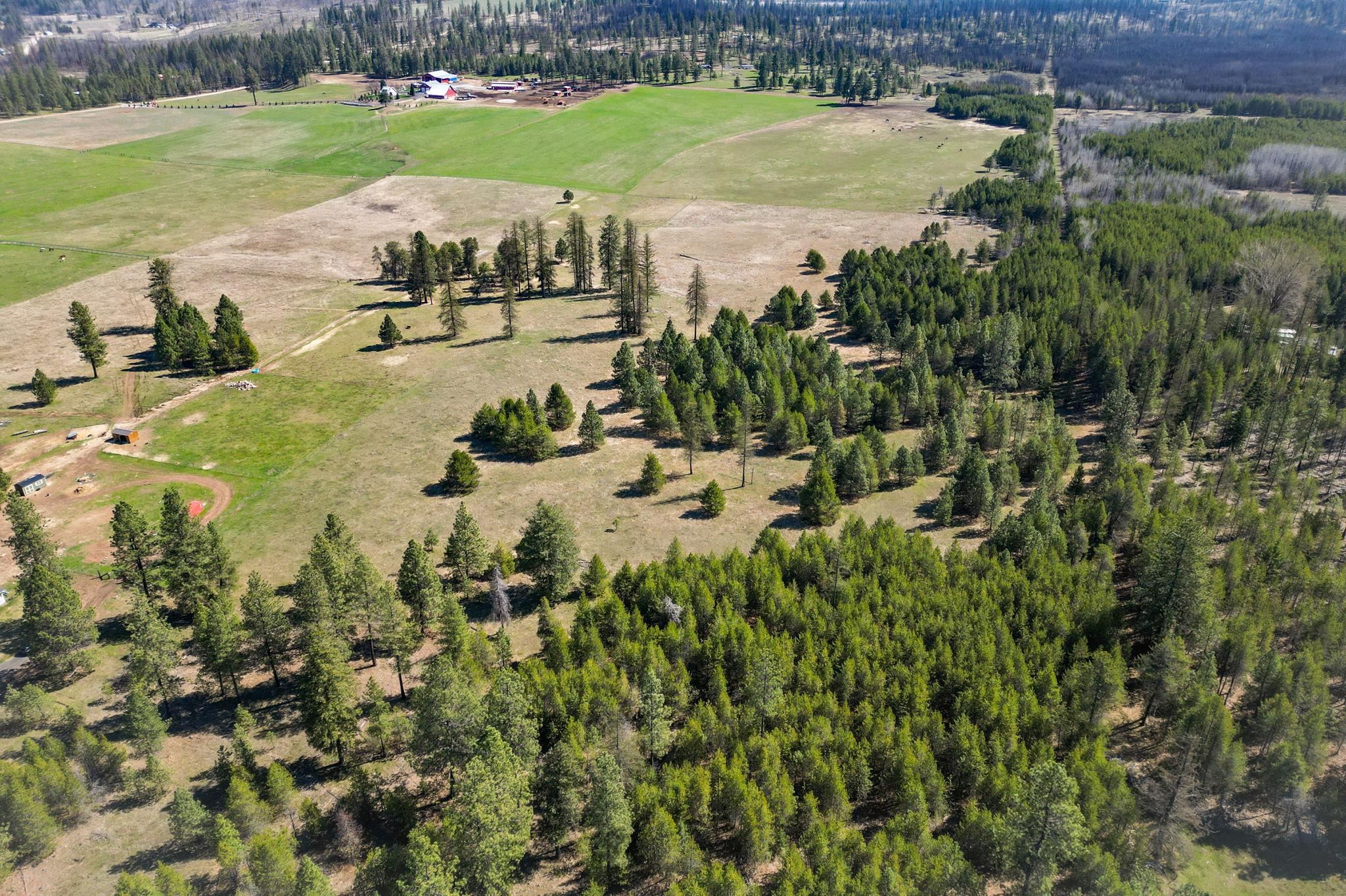 40-xxx North Madison Road Elk, WA 99009 - Photo 14 of 15