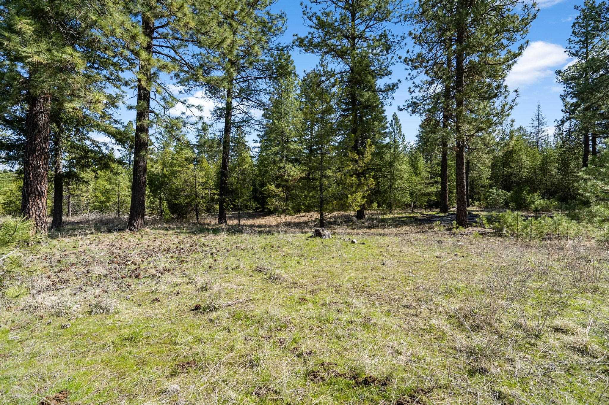 40-xxx North Madison Road Elk, WA 99009 - Photo 6 of 15