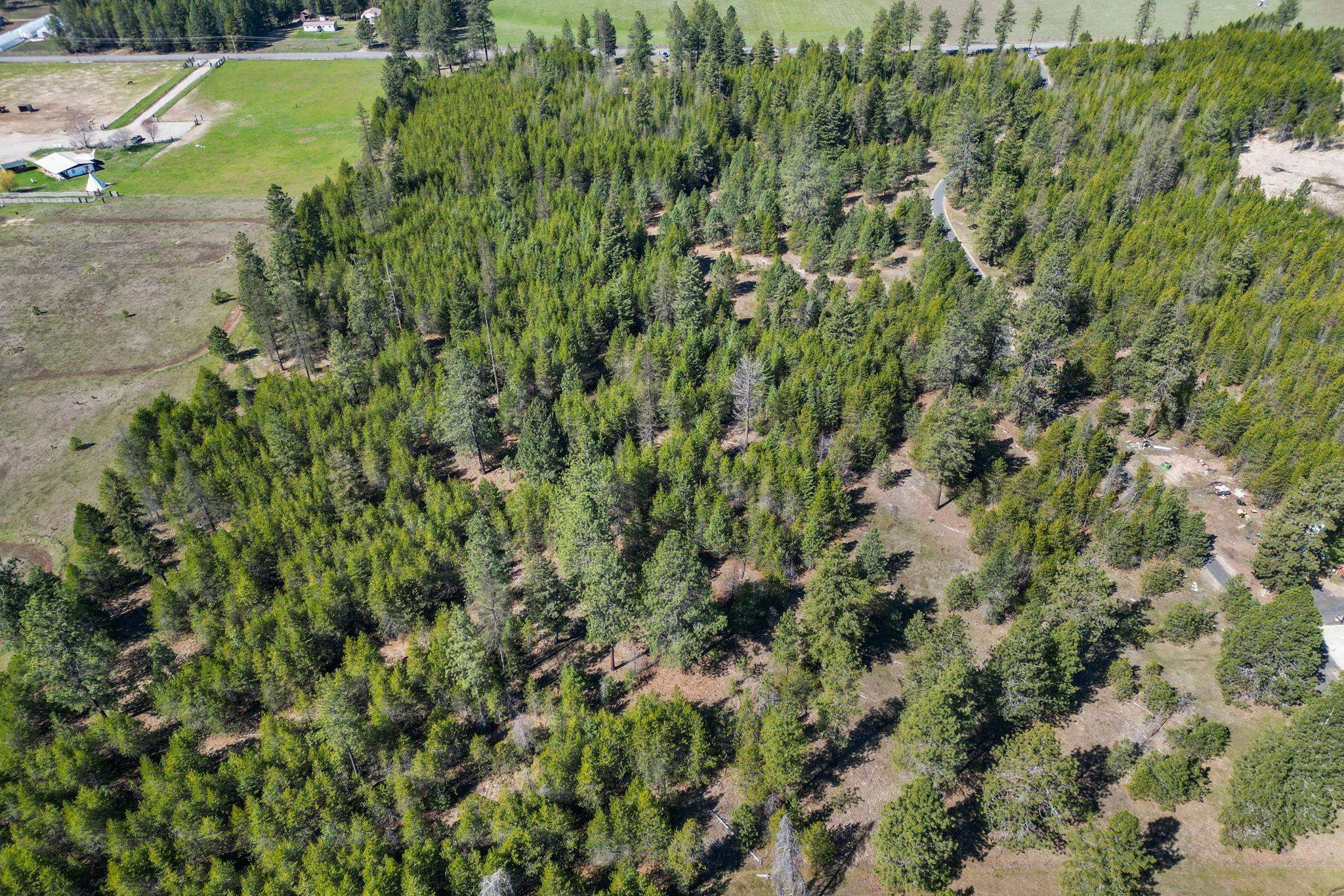 40-xxx North Madison Road Elk, WA 99009 - Photo 9 of 15